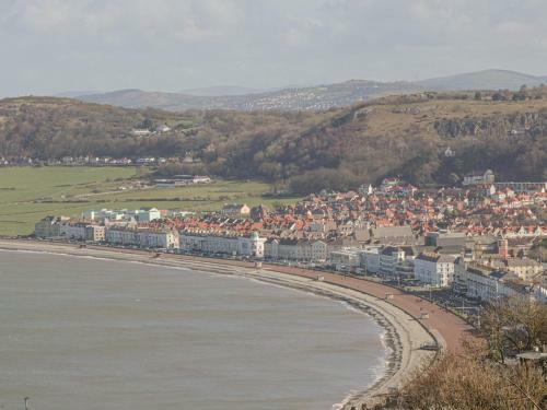 Cae Asaph
