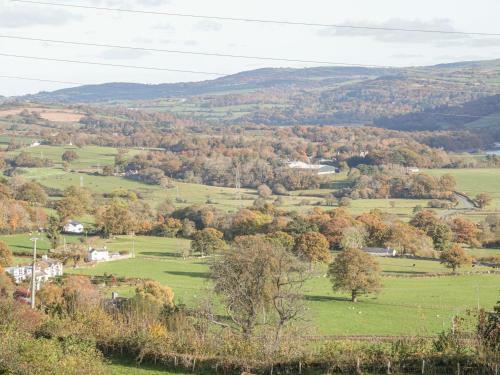 Cae Asaph