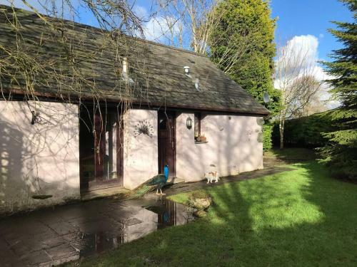 Impeccable 1-bed Cottage Near Corwen