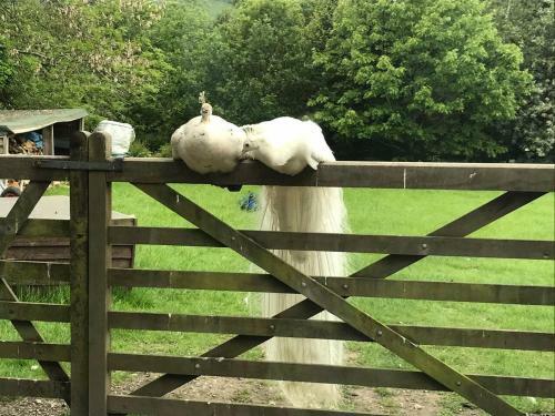 Impeccable 1-bed Cottage Near Corwen