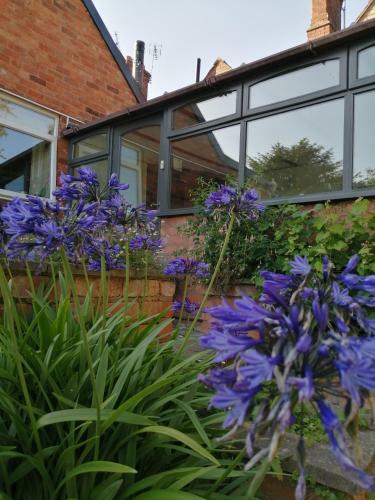 Hostal Featherbed Cottage