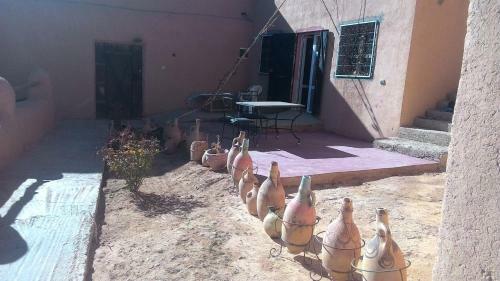 Bed & Breakfast Ecolodge Amskou