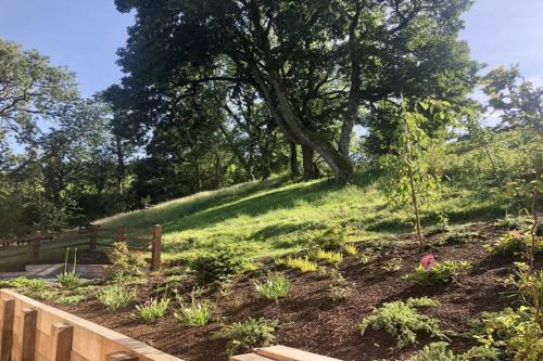 Orchard View