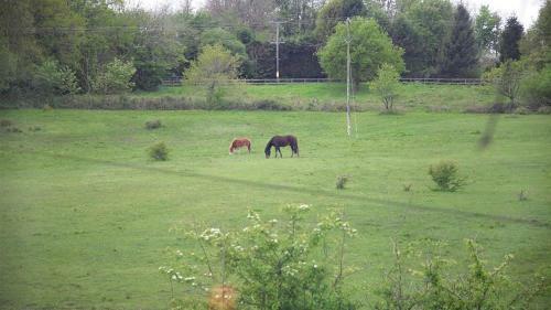 Garrod Avenue, Dunvant