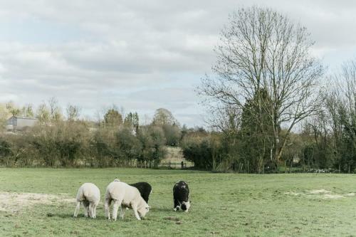 Notton Farm Cottages