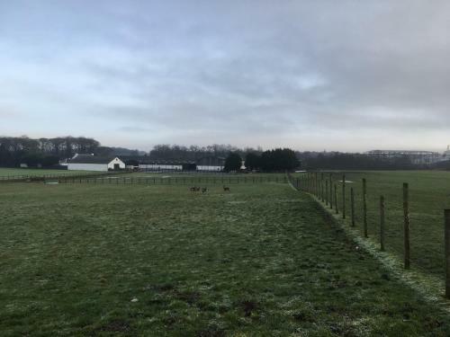 Auchenlea Lodges