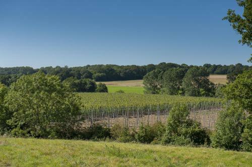 Goudhurst Oast