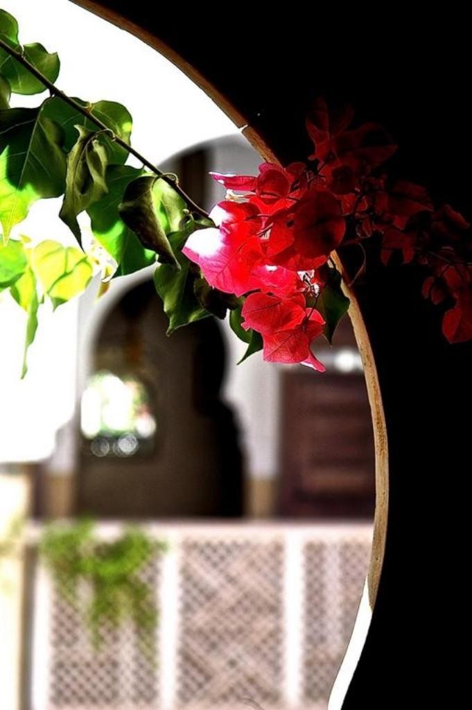 Riad Hadika Maria