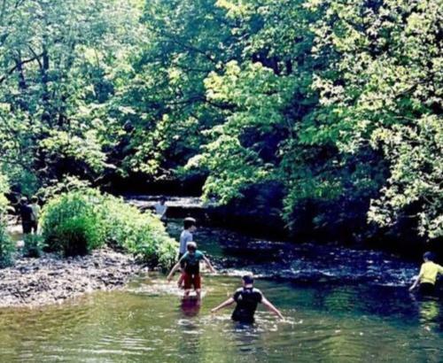 Mill End - Watermill Cottage Set In 30 Acres
