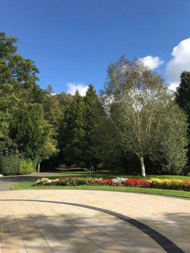 Stunning 2-bed Apartment In Hawick