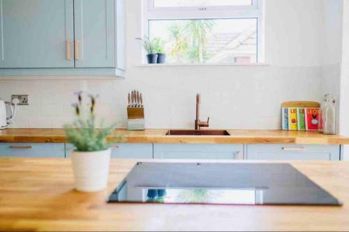 Gorgeous Luxury Chalet, New Forest & Coast &