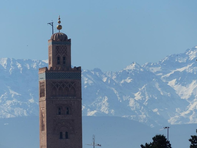 Riad Cherihane