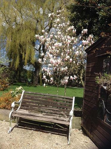 Hostal Guest House