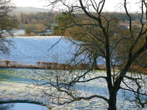 Bed & Breakfast The Larches Ledbury