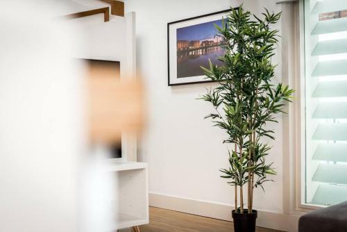 Loft Apt In L1 - Walk Everywhere