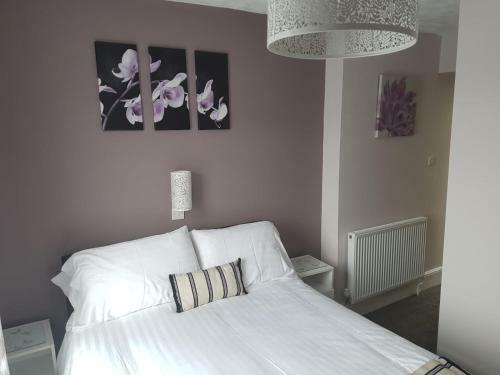 Bed & Breakfast Albany House