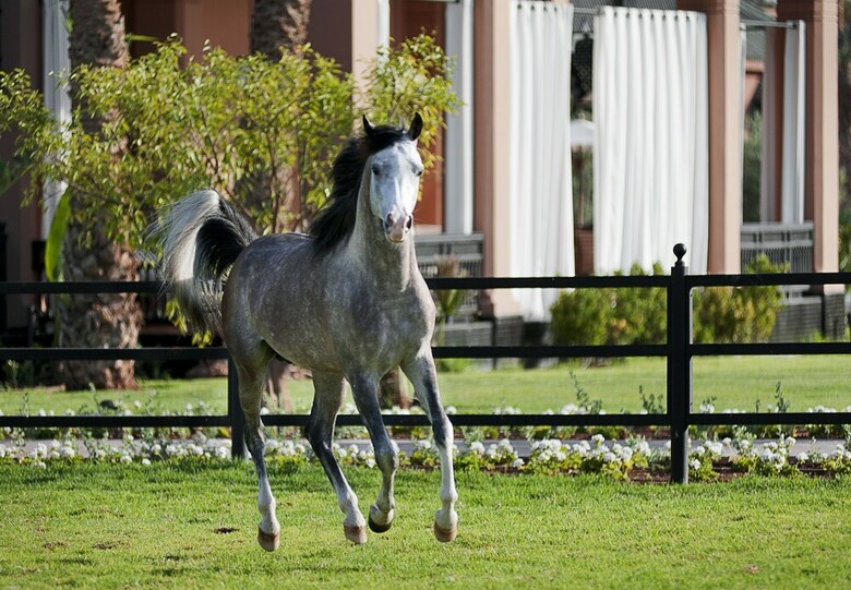 Hotel Selman Marrakech