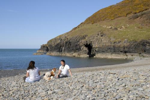 Cwm Bach