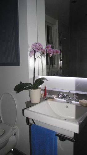 Holmewood Homestay