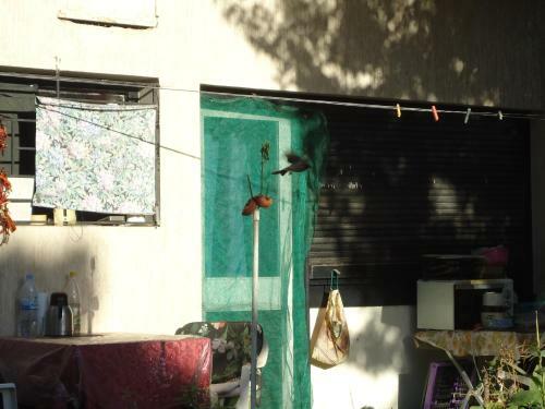 Hostal Takad Dream Hostel Agadir