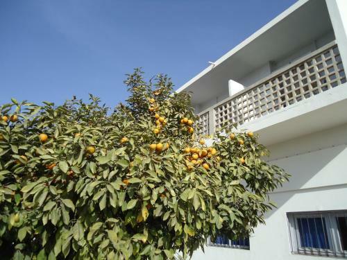 Hostal Takad Dream Hostel Agadir