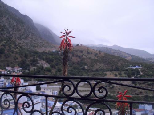 Bed & Breakfast Dar Lbakal