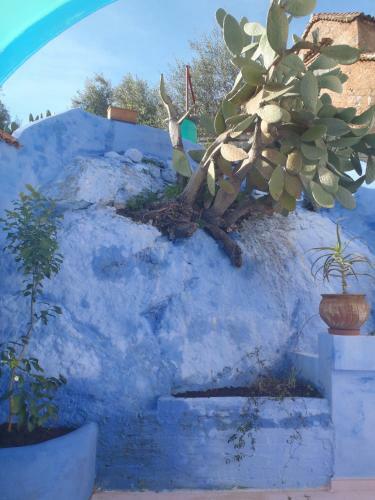 Bed & Breakfast Dar Dalia