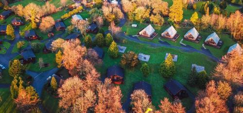 Birch Lodge 16 Newton Stewart