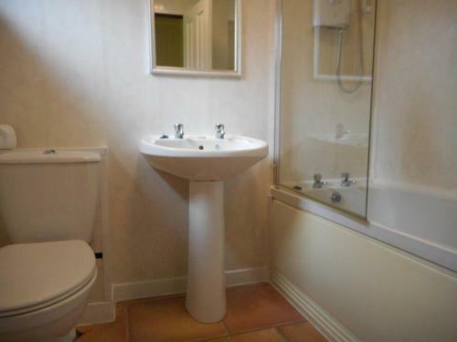 Birch Lodge 22 With Hot Tub Newton Stewart