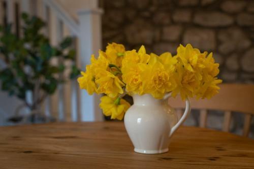 Dolly's Cottage