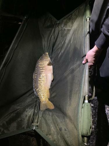 Lakeside Fishing Lodges