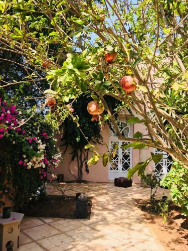 Riad Des Golfs
