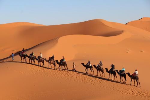 Bed & Breakfast Auberge Kasbah Des Dunes