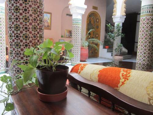 Riad Dar Alia