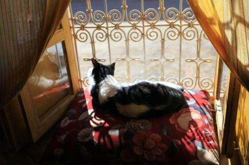 Hostal Auberge Chez Julia