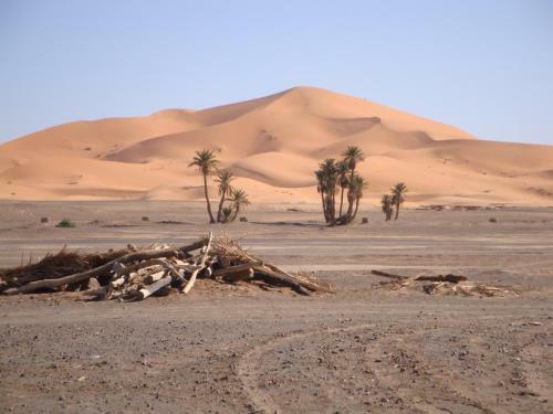 Riad Aicha
