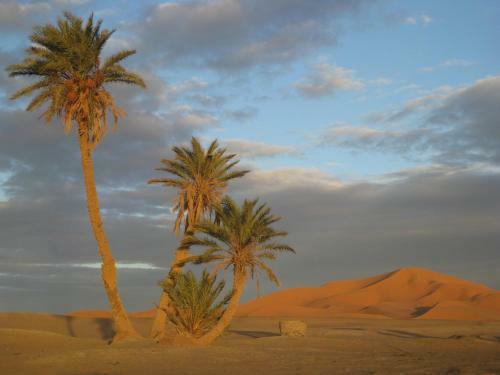 Riad Aicha