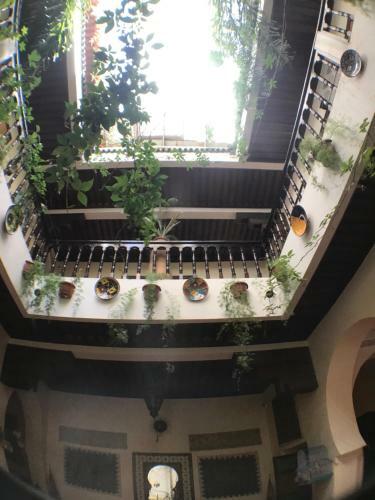 Riad Ryad Bahia