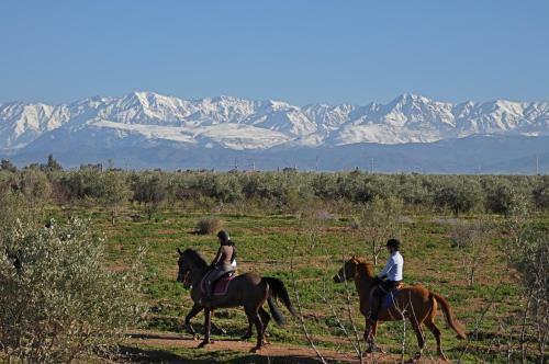 Bed & Breakfast Maroc Loisirs
