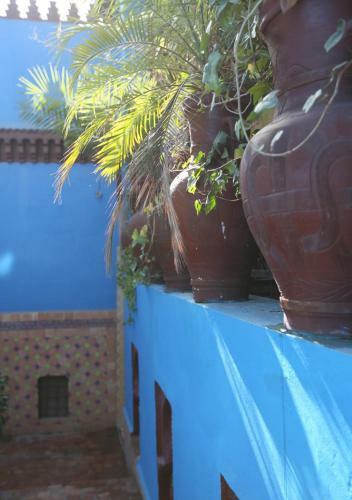 Riad Hiba