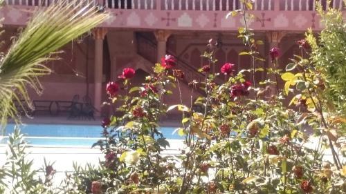 Hotel Mandar Saghrou Tazakht