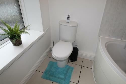 Apartamento Stafford House