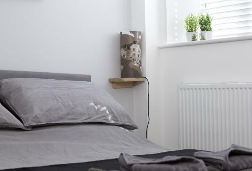 The Old Antique Shop