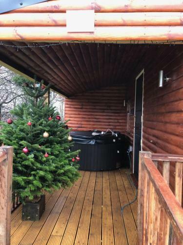 Lodge Cherry Tree Glamping