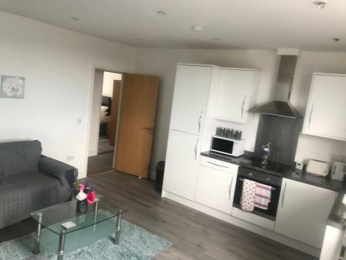 Luxury City Apartment