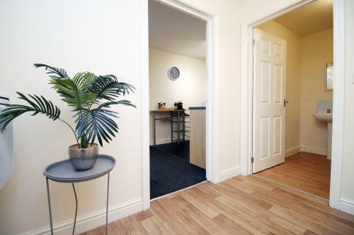 Masonic Heights Apartment 27