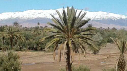 Hostal Kasbah Dar Dmana
