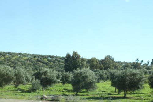 Posada Tahla Garden