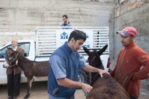Bed & Breakfast Dar Zerhoune