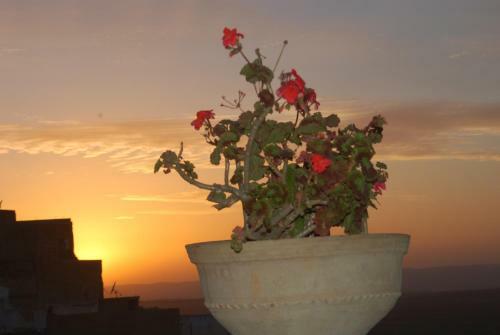 Hostal La Colombe Blanche